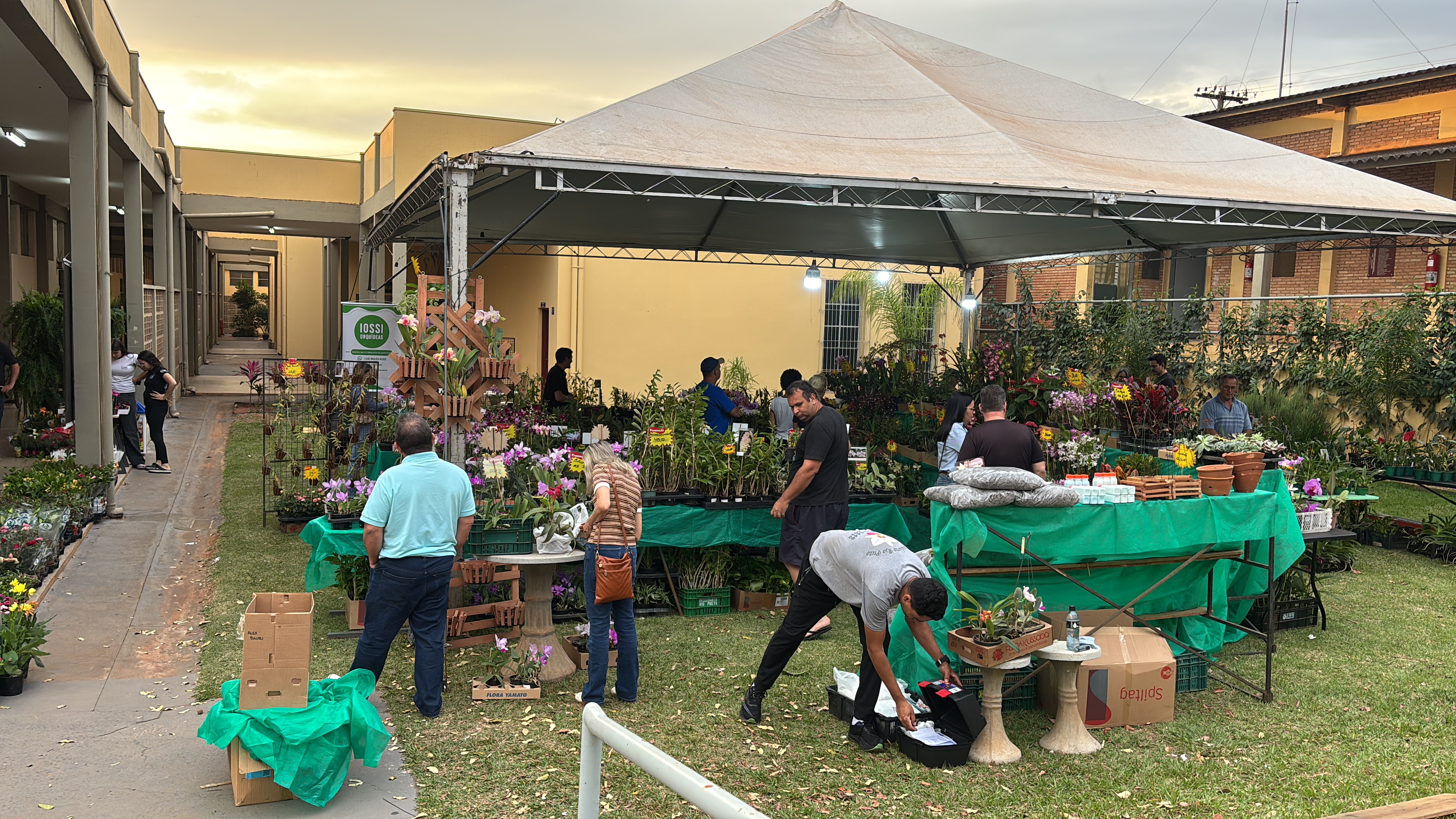 FA39D9C6-C2EF-41AD-936E-2F76F2EE613F