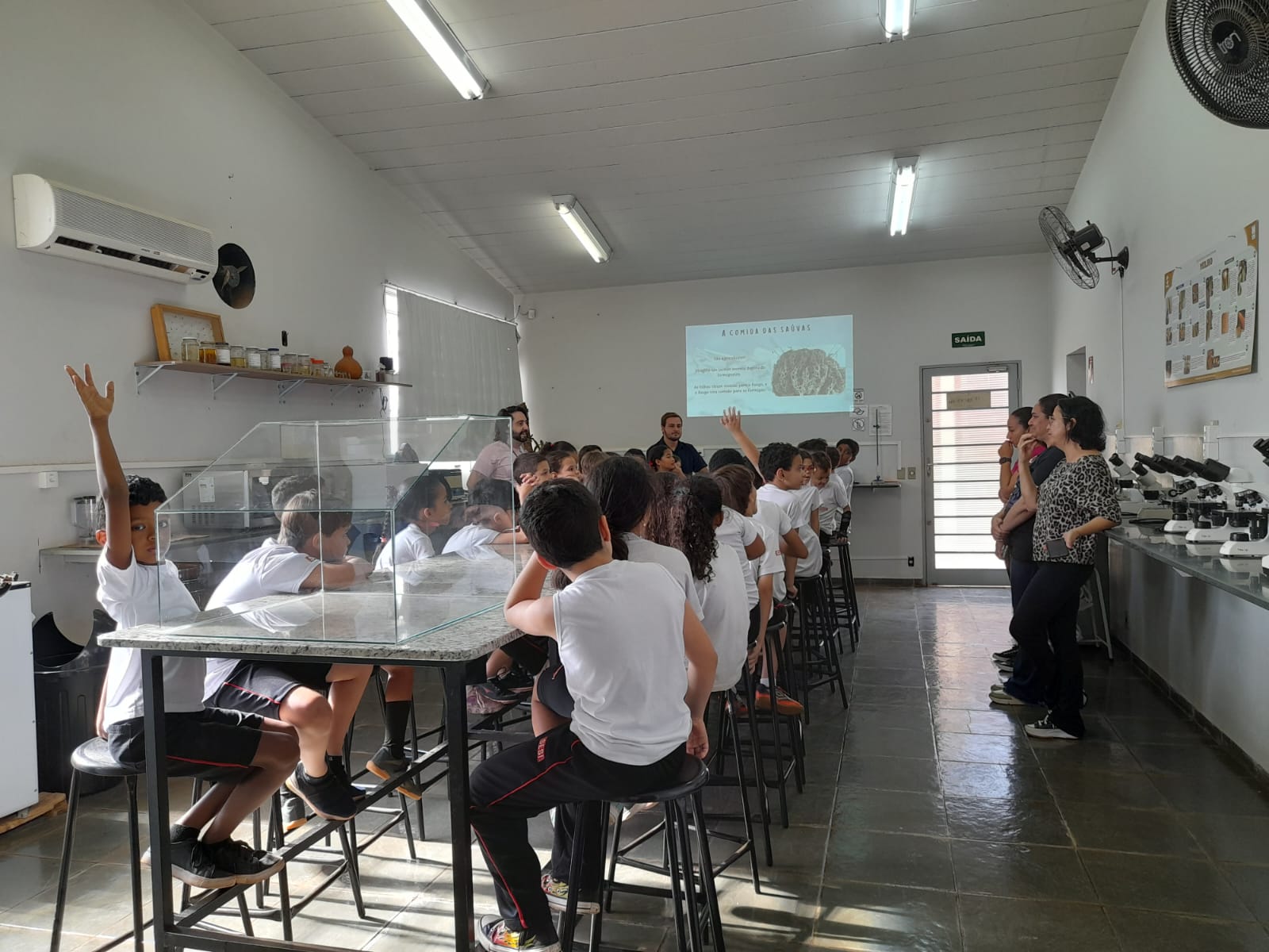 Estudantes do SESI visitam projeto sobre formigas cortadeiras na Faculdade Municipal de Bebedouro