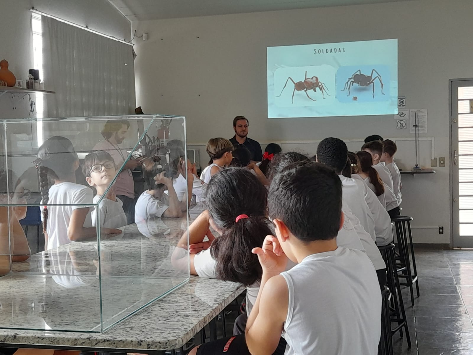 Estudantes do SESI visitam projeto sobre formigas cortadeiras na Faculdade Municipal de Bebedouro