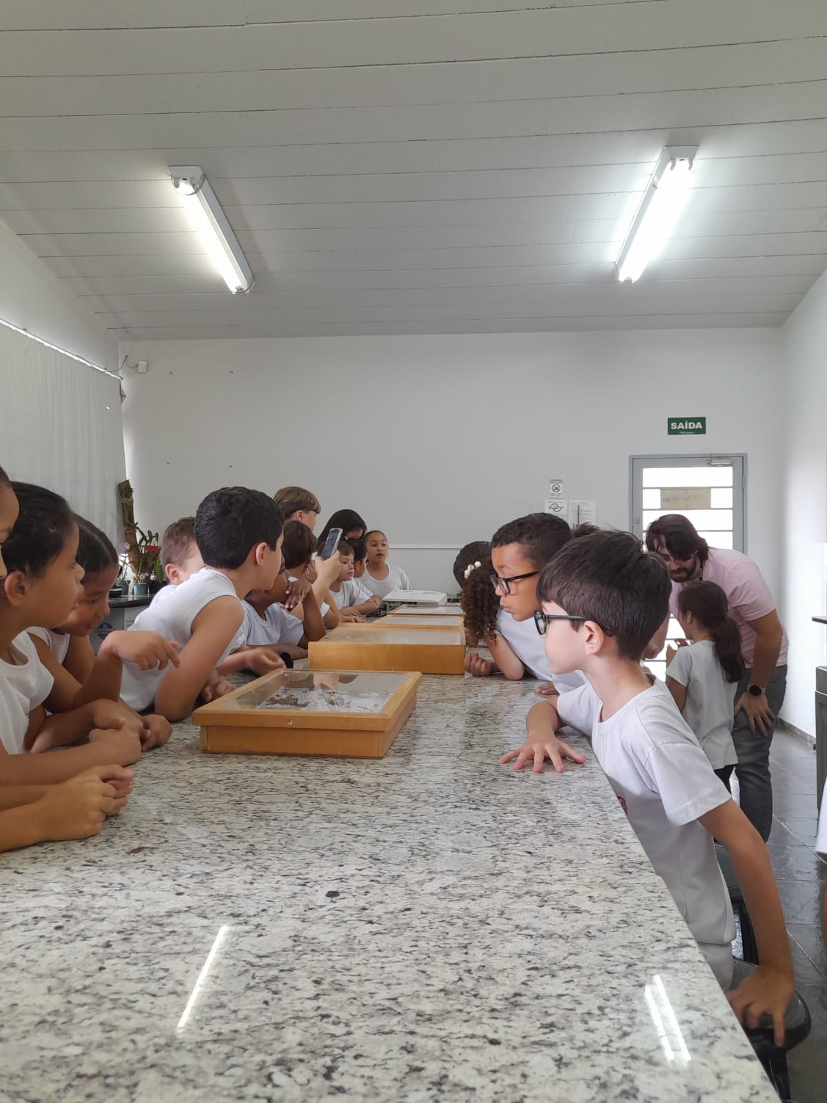 Estudantes do SESI visitam projeto sobre formigas cortadeiras na Faculdade Municipal de Bebedouro
